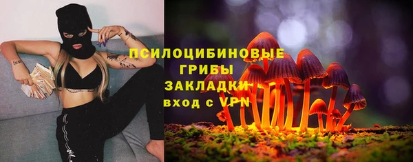 экстази Дмитриев
