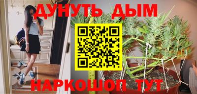 ПСИЛОЦИБИНОВЫЕ ГРИБЫ Дубна