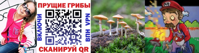 Псилоцибиновые грибы Cubensis  где найти наркотики  Дюртюли 