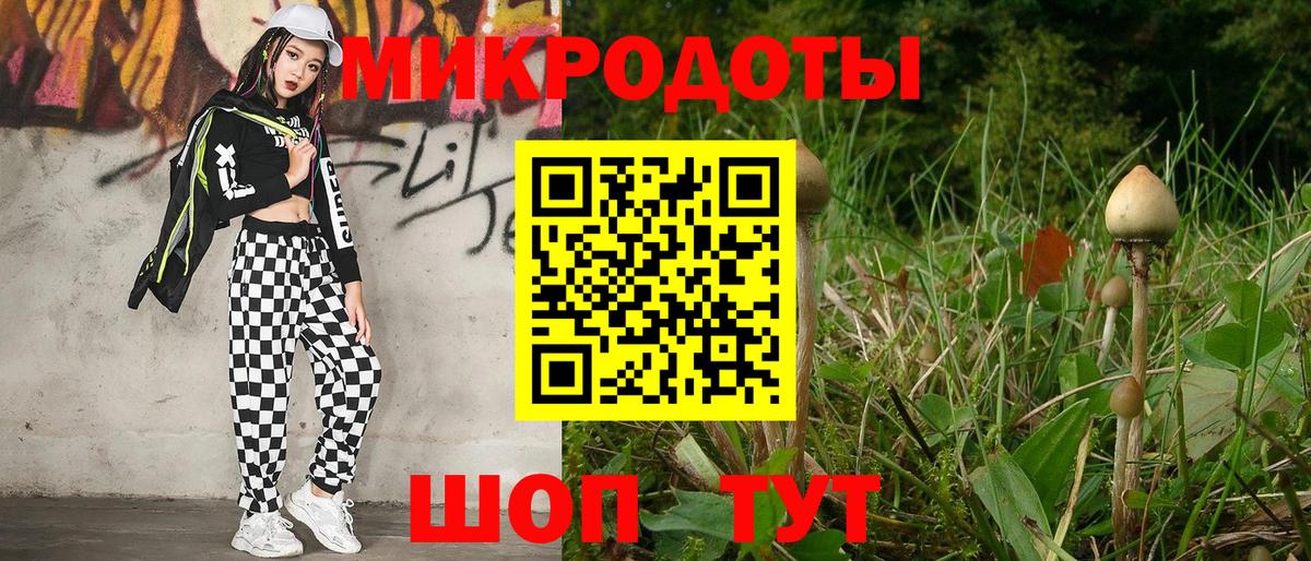 Псилоцибиновые грибы мухоморы  купить наркотики цена  Псилоцибиновые грибы MAGIC MUSHROOMS  Дюртюли  Вход с VPN 