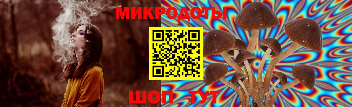 Галлюциногенные грибы Magic Shrooms Дюртюли